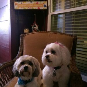 Meet your Posher, Cindy